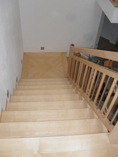 Treppenstufen und Geländer auf Betontreppe in can. Ahorn